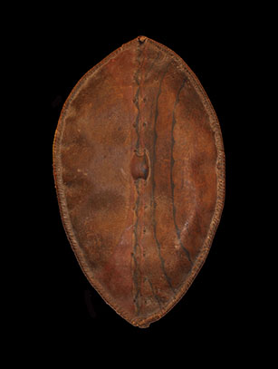 Maasai Shield, Kenya/Tanzania - Sold